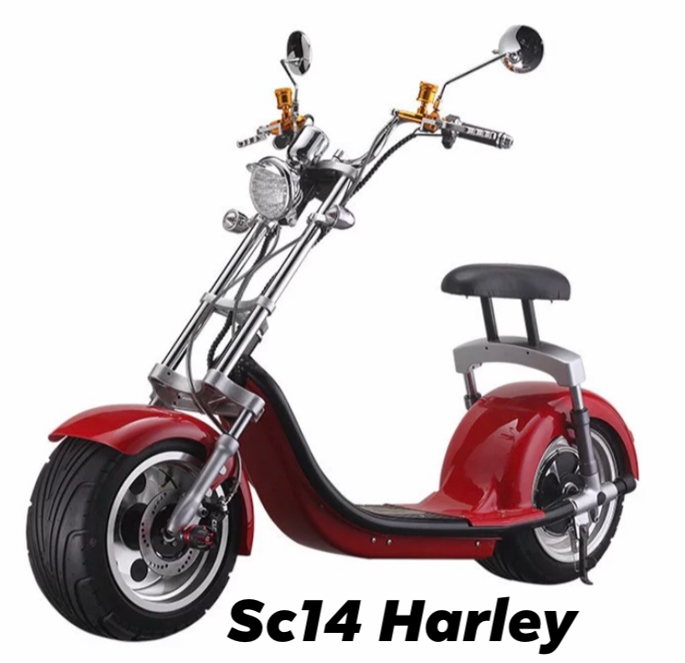 CITYCOCO ELECTRIC SCOOTER with License Plate