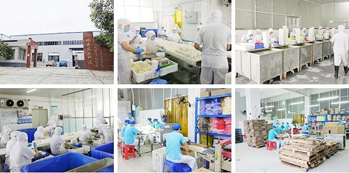 HUIZHOU ZHONG KAI XIN FOOD CO., LTD.