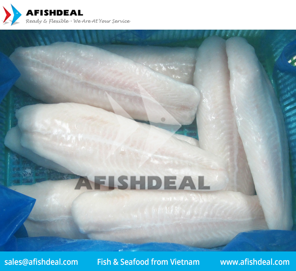 Pangasius filet