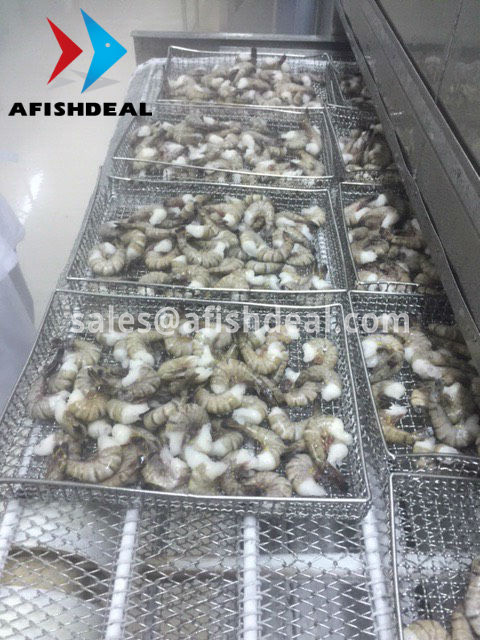 FROZEN BLACK TIGER SHRIMP -  HLSO - PENAEUS MONODO - SEAFOOD VIETNAM