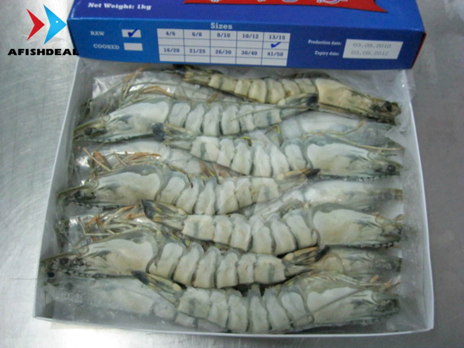 FROZEN BLACK TIGER SHRIMP -  HOSO - PENAEUS MONODO - SEAFOOD VIETNAM