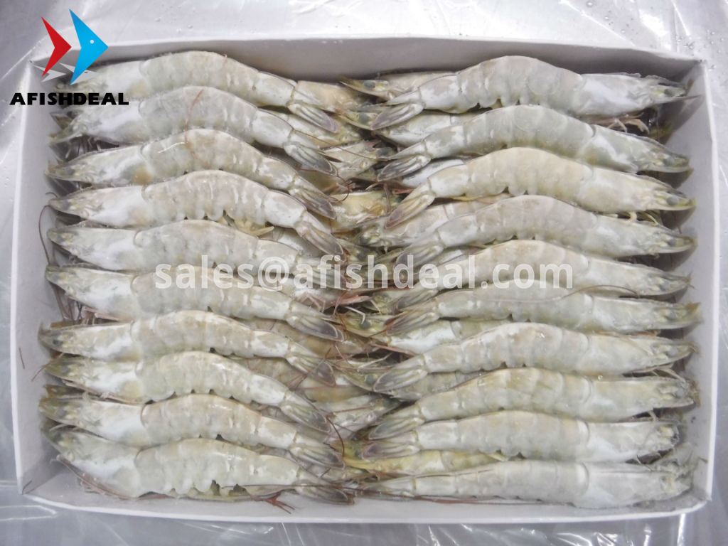 VANNAMEI SHRIMP - HOSO - FROZEN  PENAEUS VANNAMEI - SEAFOOD  VIETNAM