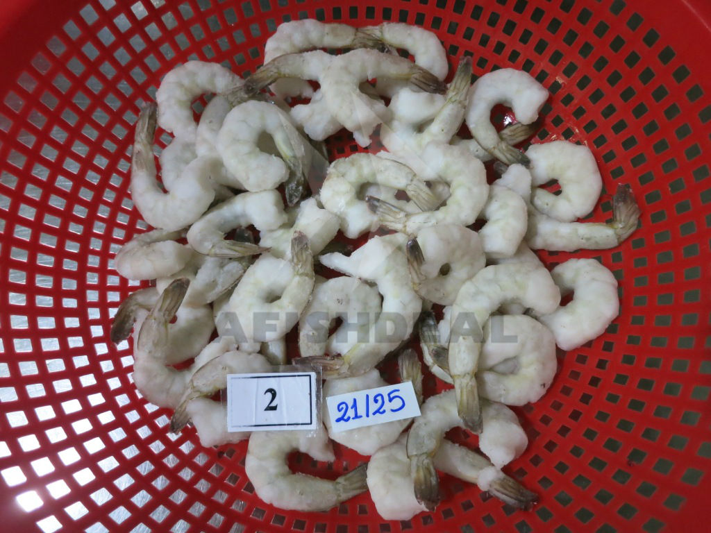 Udang