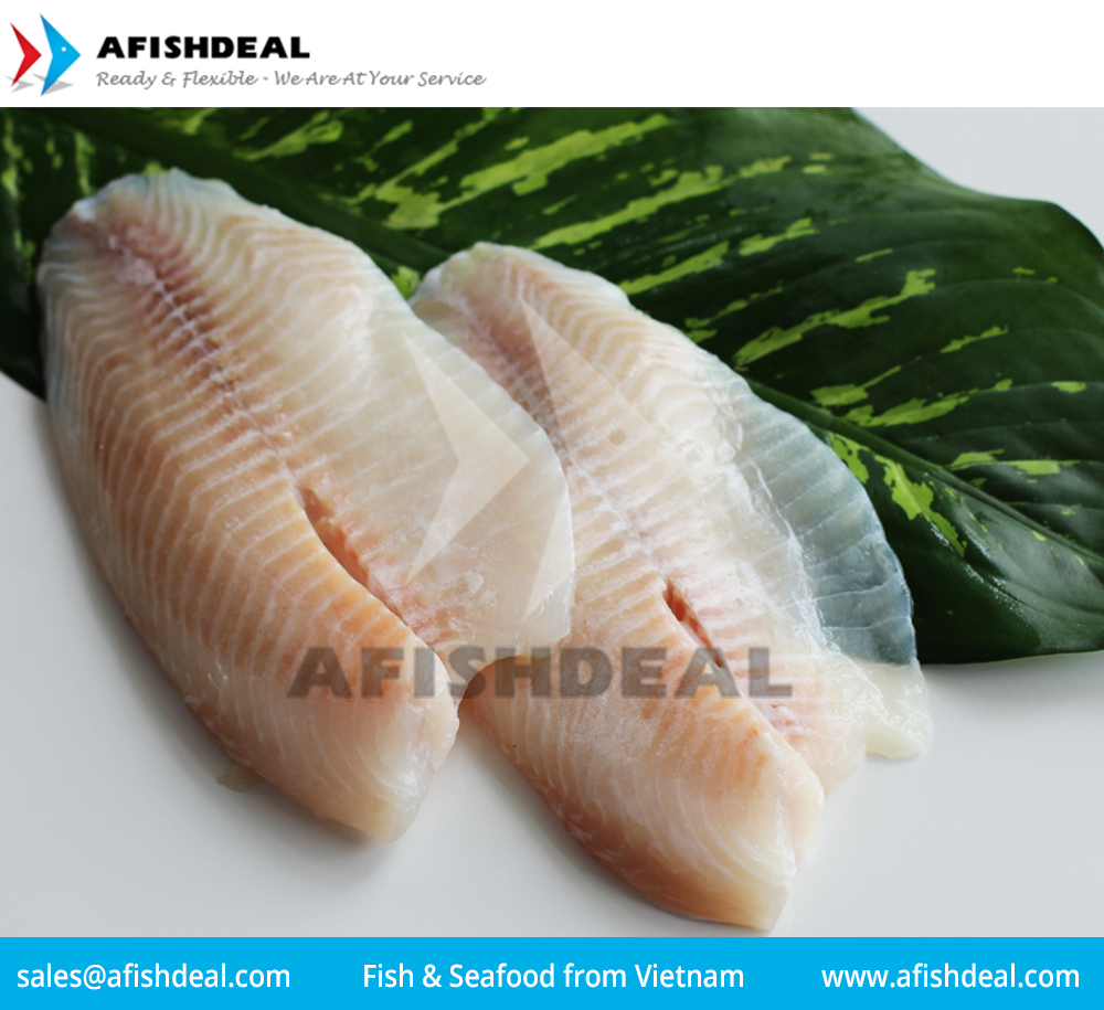 TILAPIA - RED TILAPIA - BLACK TILAPIA - WHOLE ROUND - WGS - HGT - WGG -  FILLET - FROZEN FISH - VIETNAM