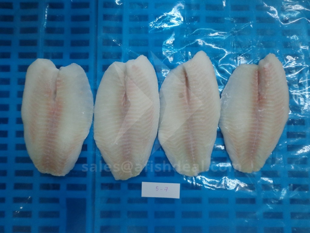 TILAPIA - RED TILAPIA - BLACK TILAPIA - WHOLE ROUND - WGS - HGT - WGG -  FILLET - FROZEN FISH - VIETNAM