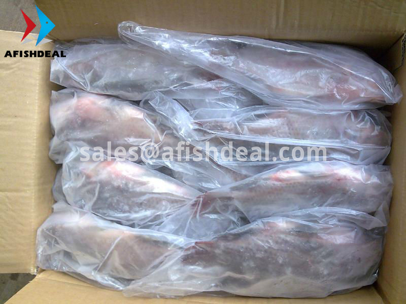 TILAPIA - RED TILAPIA - BLACK TILAPIA - WHOLE ROUND - WGS - HGT - WGG -  FILLET - FROZEN FISH - VIETNAM