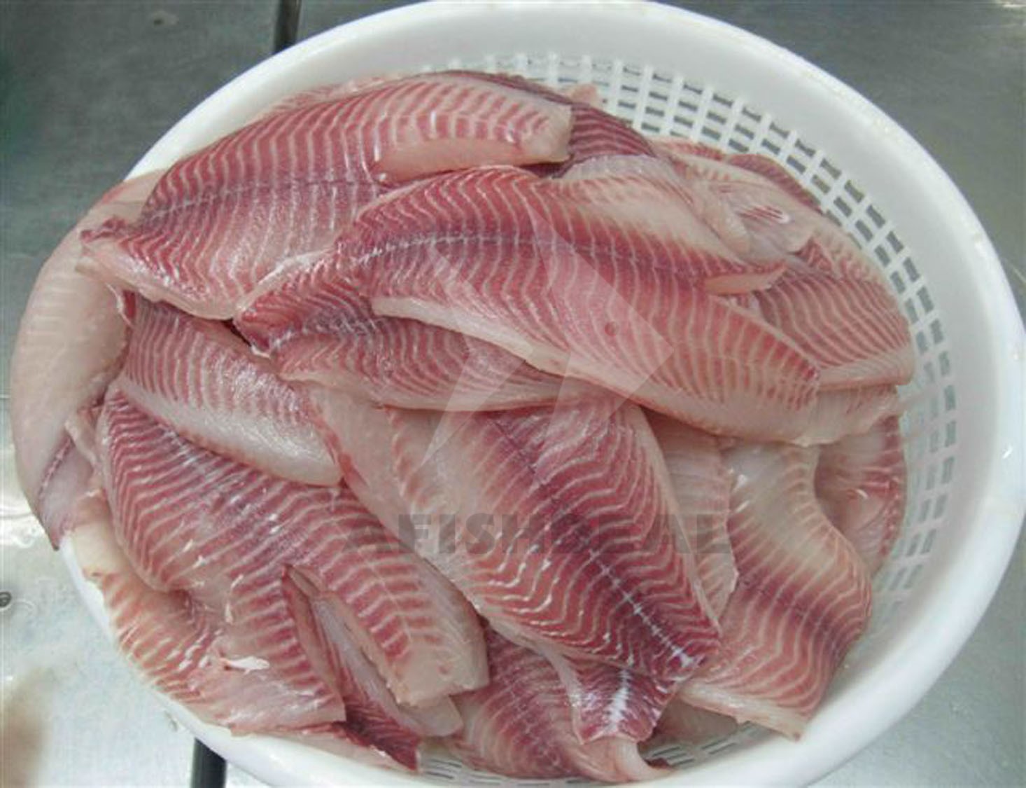 TILAPIA - RED TILAPIA - BLACK TILAPIA - WHOLE ROUND - WGS - HGT - WGG -  FILLET - FROZEN FISH - VIETNAM