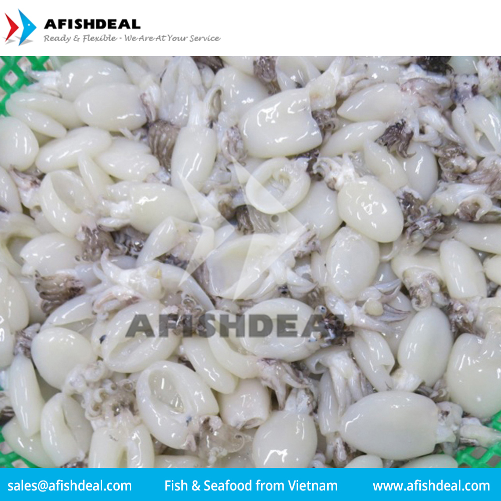 SQUID - CUTTLEFISH  FISH - SEAFOOD - MOLLUSKS - FROZEN  - ORIGIN VIETNAM