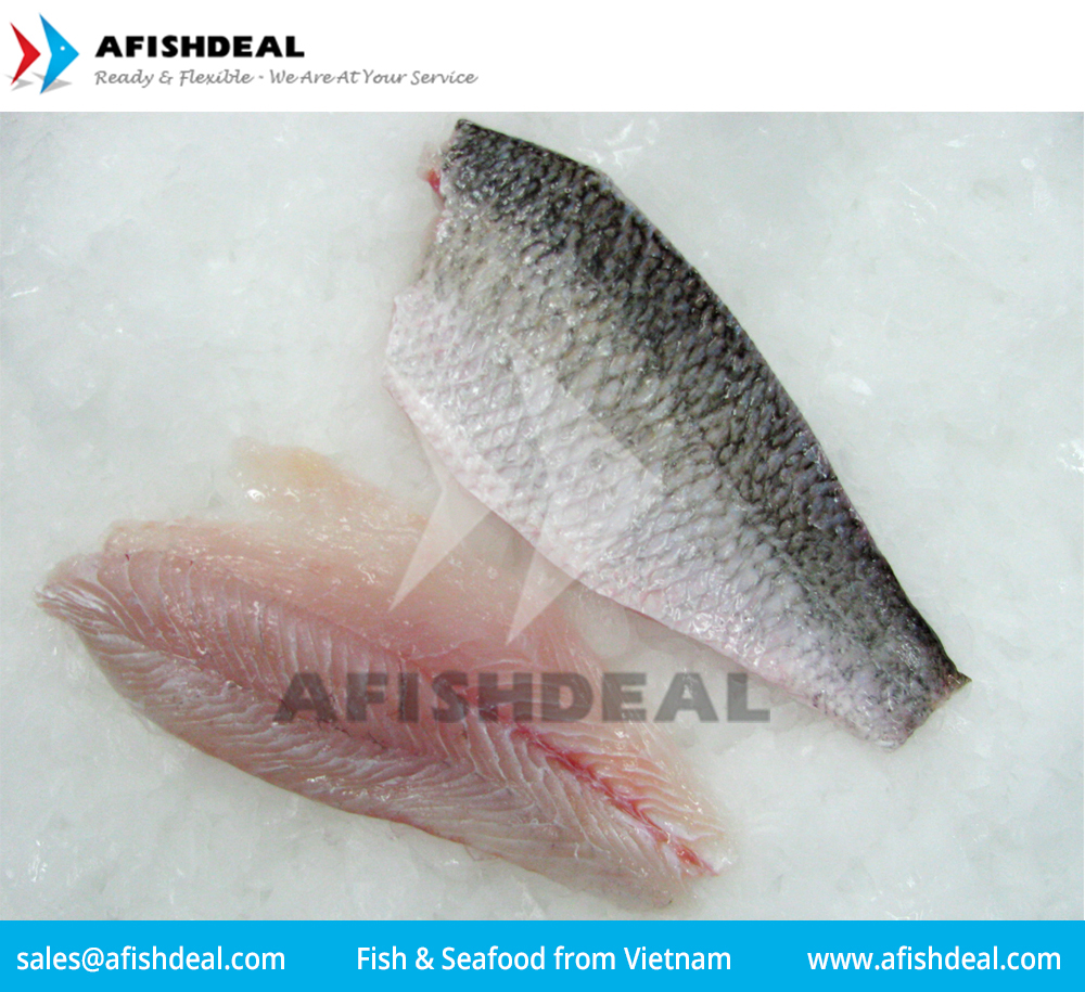 BARRAMUNDI FROZEN FISH - WHOLE  ROUND - GUTTED - WR - WGGS -  FILLET - LATES CALCARIFER - ORIGIN VIETNAM