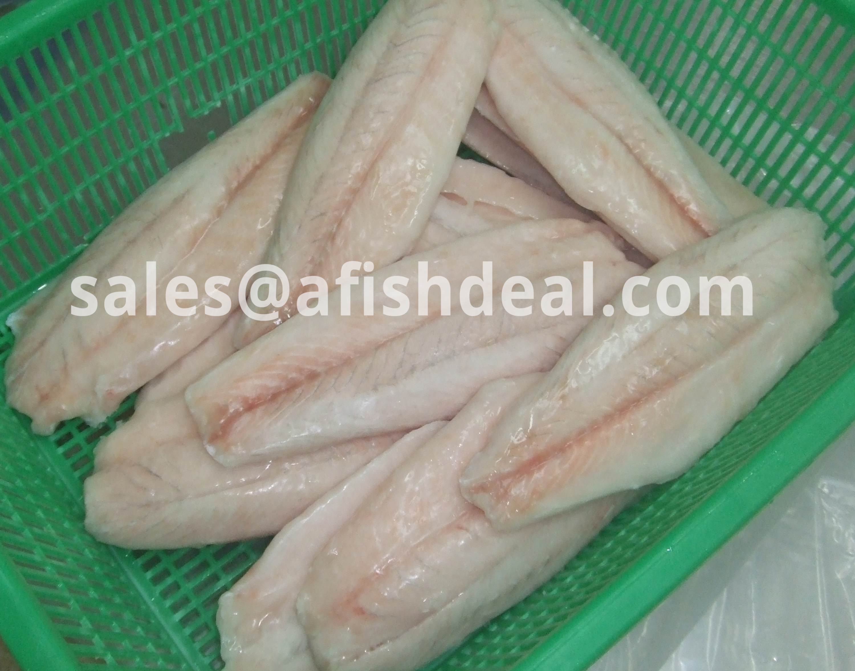 BARRAMUNDI FROZEN FISH - WHOLE  ROUND - GUTTED - WR - WGGS -  FILLET - LATES CALCARIFER - ORIGIN VIETNAM