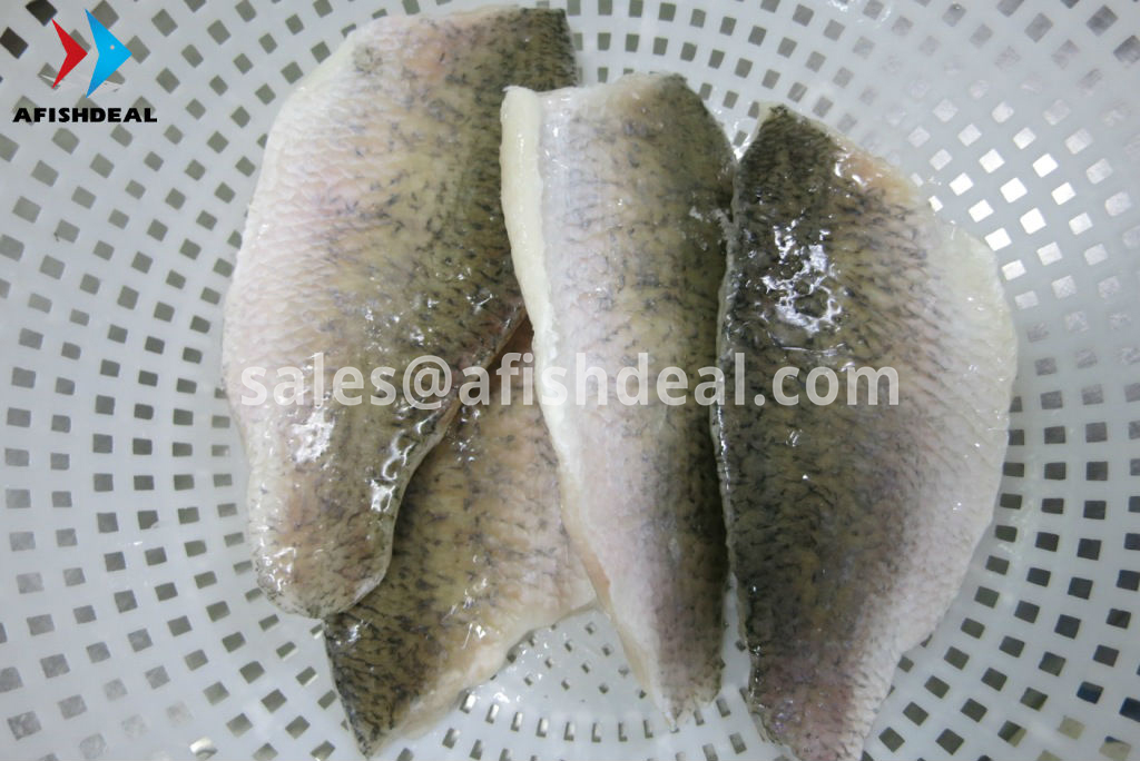 BARRAMUNDI FROZEN FISH - WHOLE  ROUND - GUTTED - WR - WGGS -  FILLET - LATES CALCARIFER - ORIGIN VIETNAM