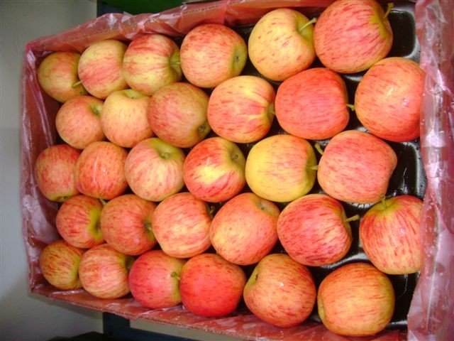 Pomes