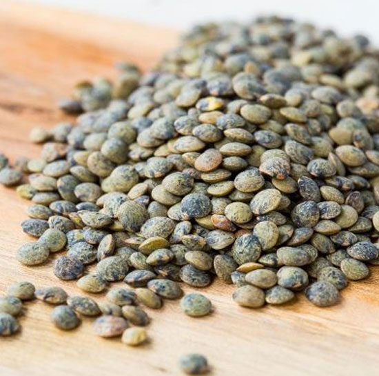 Lentil