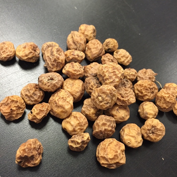 Tiger Nuts For Sale