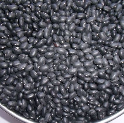 Black Beans For Sale