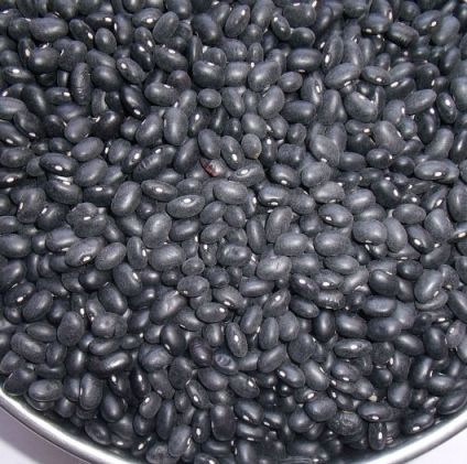 黒豆