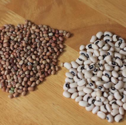 لوبیا سیاه و سفید چشم / cowpeas