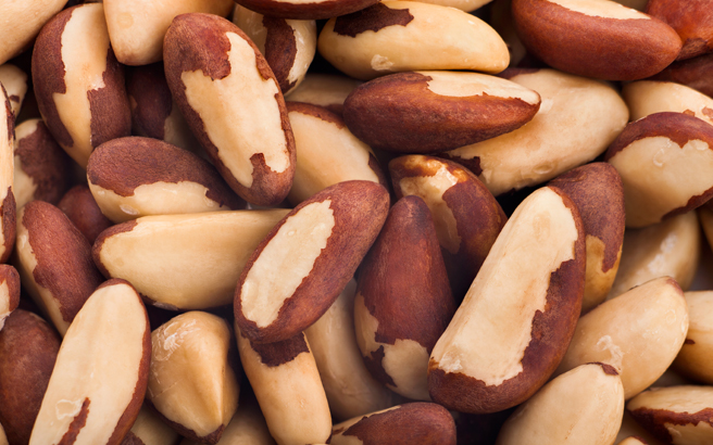 Brazil Nuts For Sale