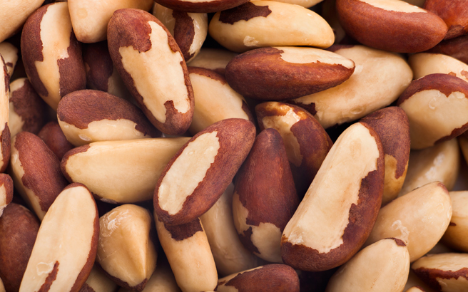 Kacang Brazil