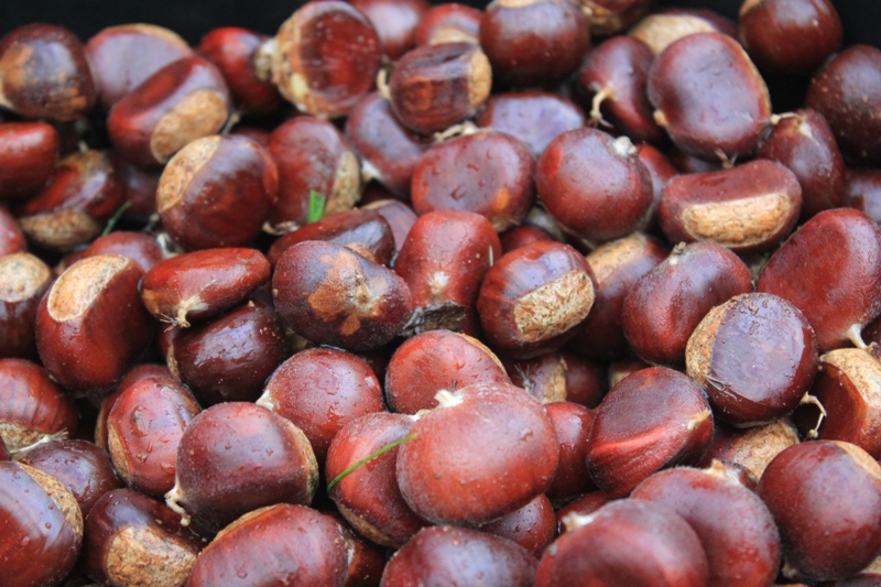 Chestnuts For Sale