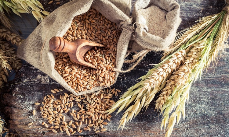 Oat bijirin