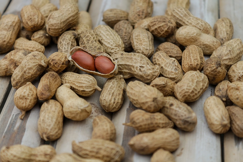 Hnetum