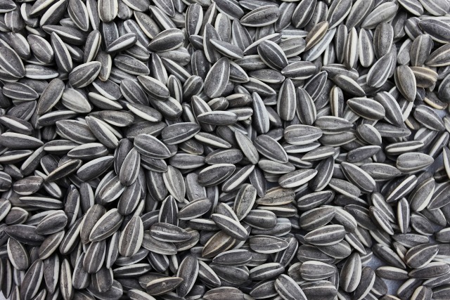 Frutos de cáscara de girasol