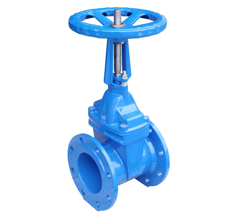 Rising Stem Resilient Seated Gate Valve