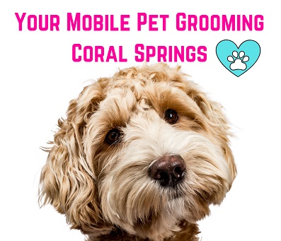 YOUR MOBILE PET GROOMING CORAL SPRINGS