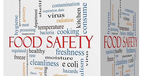 BD FOOD SAFETY CONSULTANTS