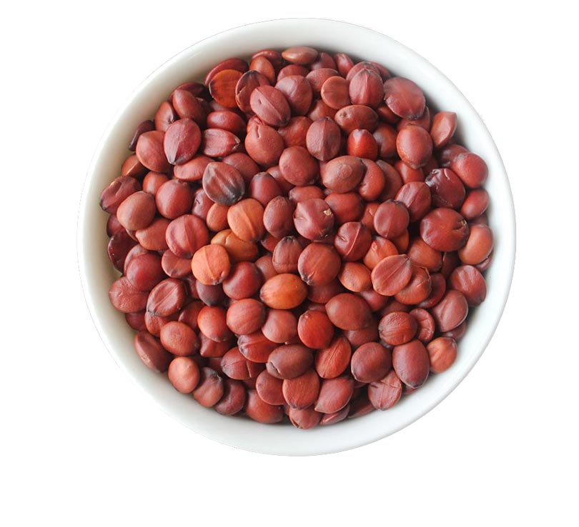 Jujube Kernel Extract