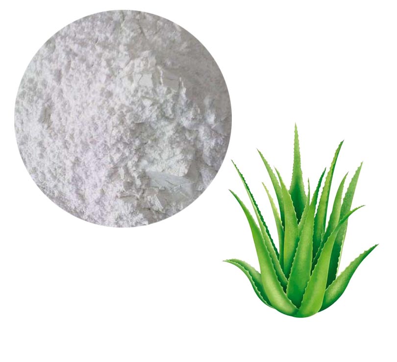 Aloe Lyophilized Powder