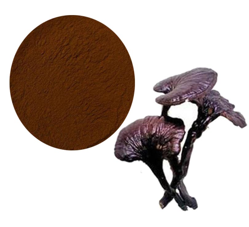 Ganoderma Lucidum Extract