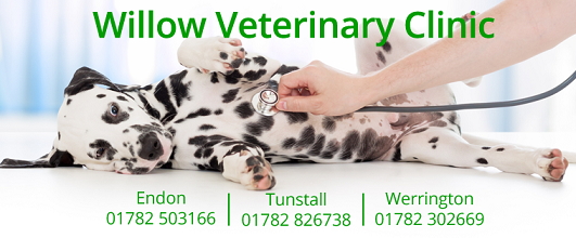 WILLOW VETERINARY CLINIC