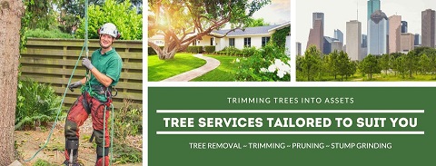 LONE STAR TREE SERVICES