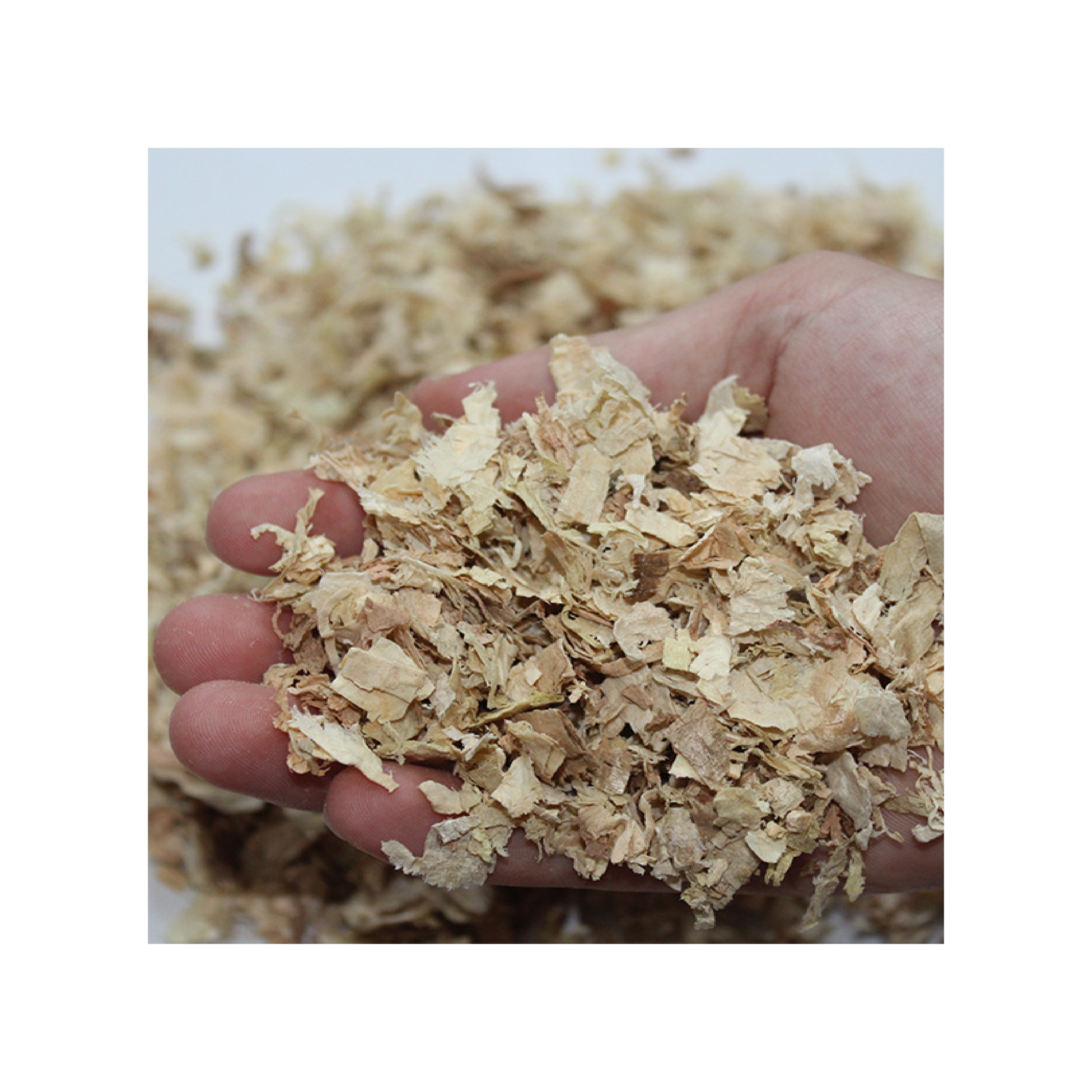 MIXED WOOD SHAVINGS