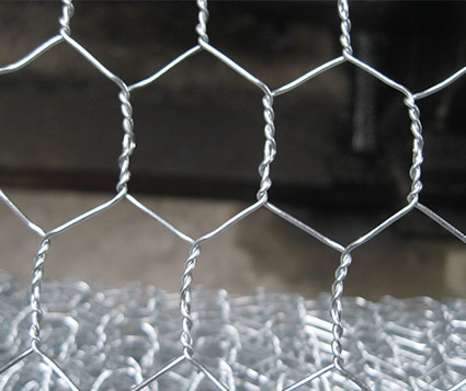 Hexagonal Wire Netting   Galvanized Welded Mesh supplier  