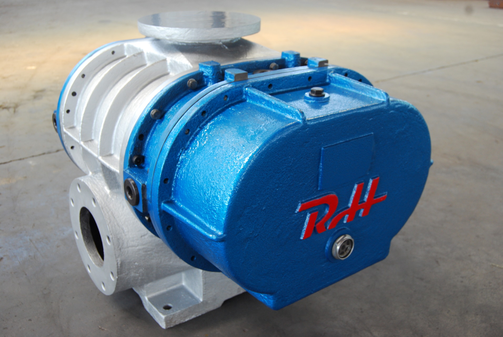 roots vacuum pump