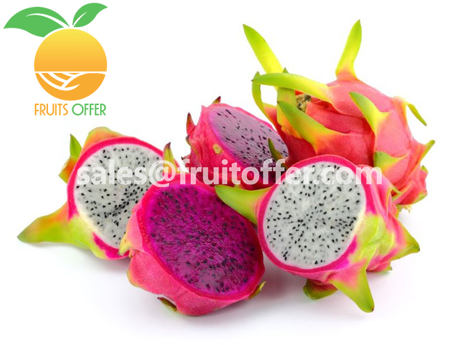 DRAGON  FRUIT