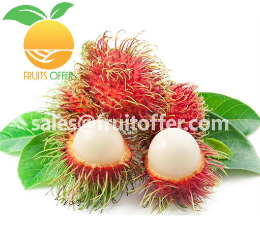 RAMBUTAN