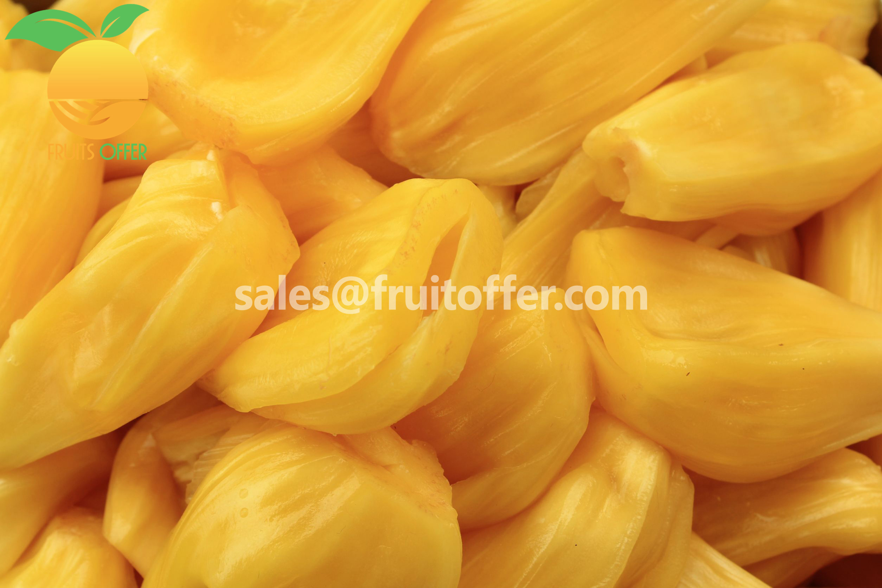 JACKFRUIT