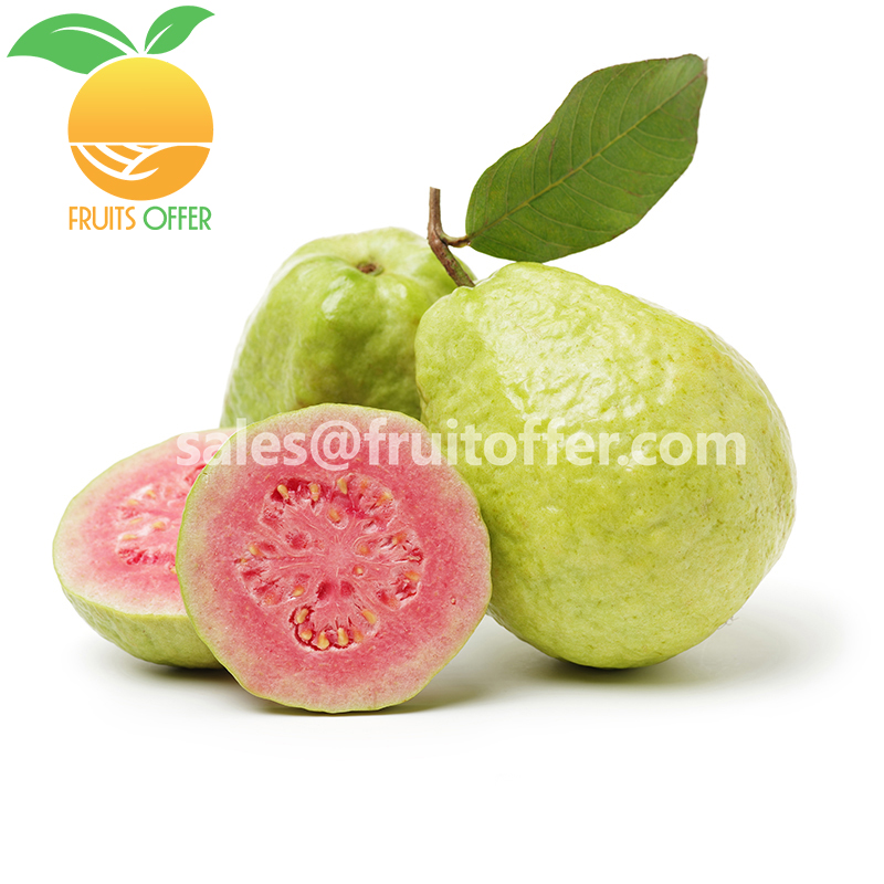 GUAVA