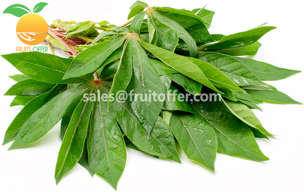 FROZEN CASSAVA LEAF / SAKA SAKA 