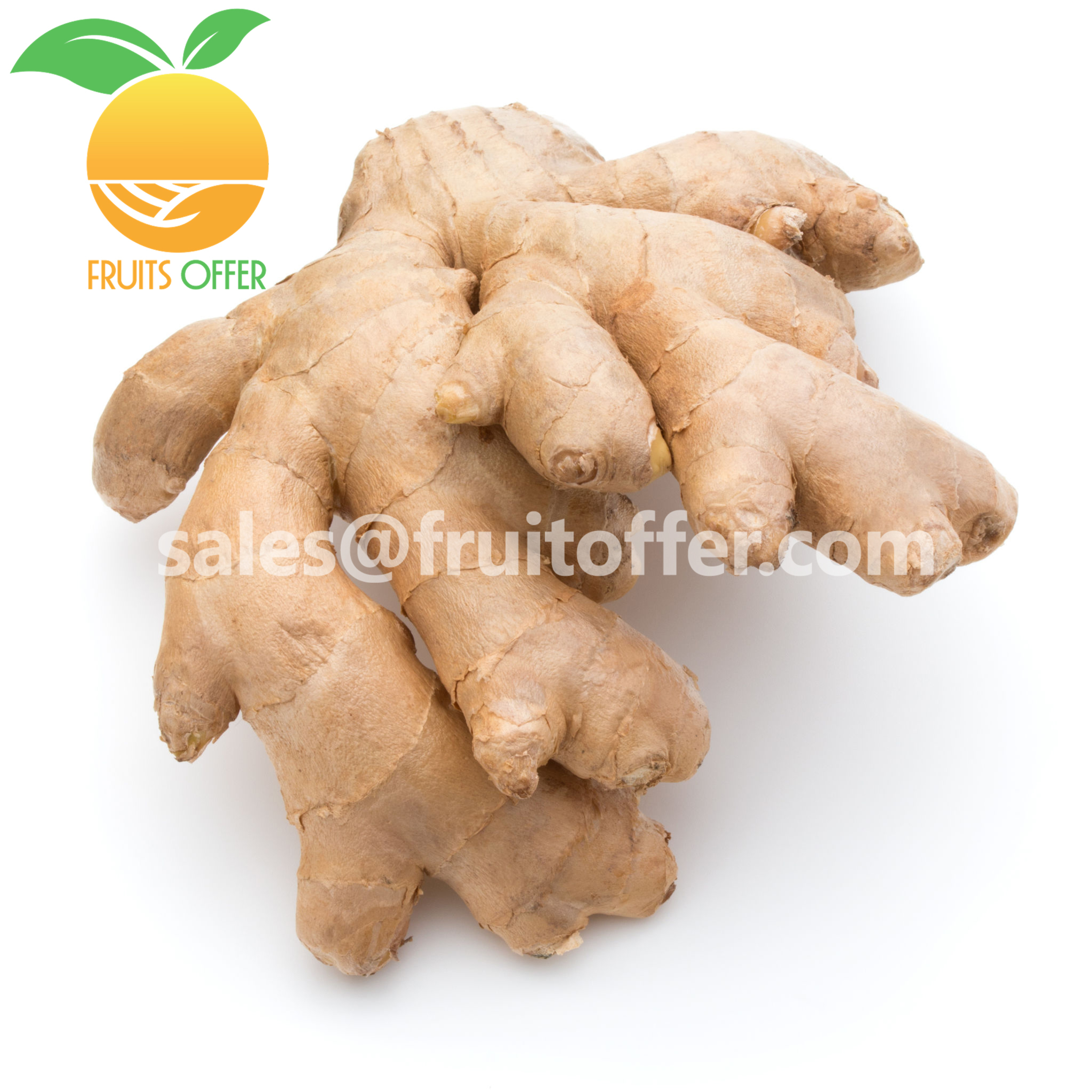 WHOLE FRESH GINGER