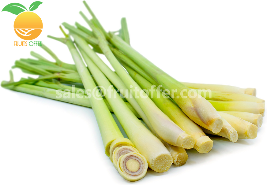 FRESH WHOLE LEMONGRASS