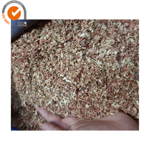 LOW PRICE WOOD CHIPS FROM VIETNAM