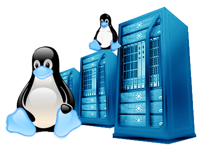 Server