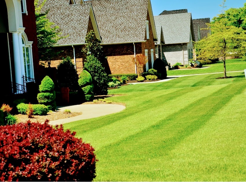 Lawn Care Maintenance