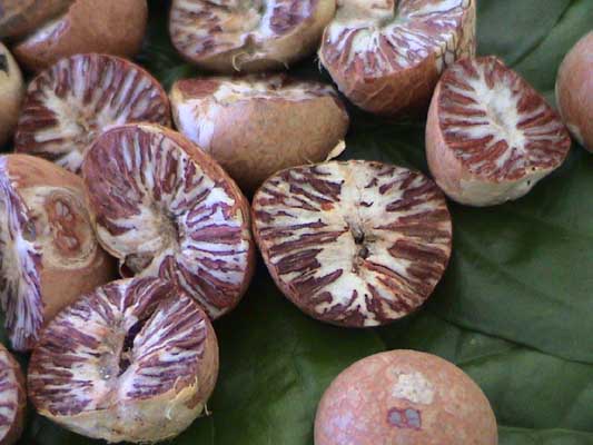 Betel Nut