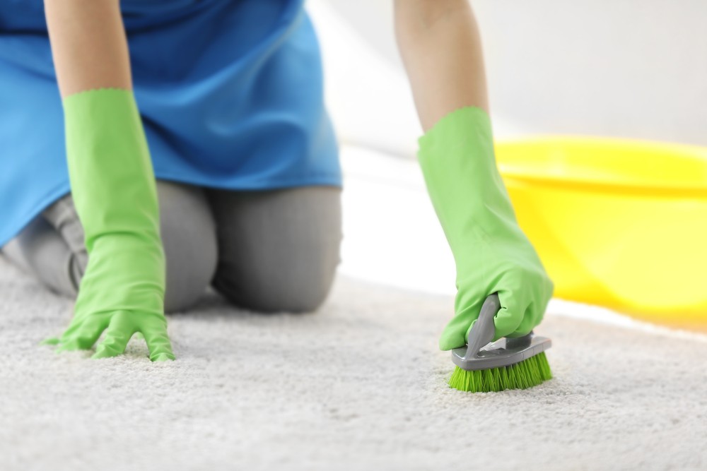 Carpet Cleaning